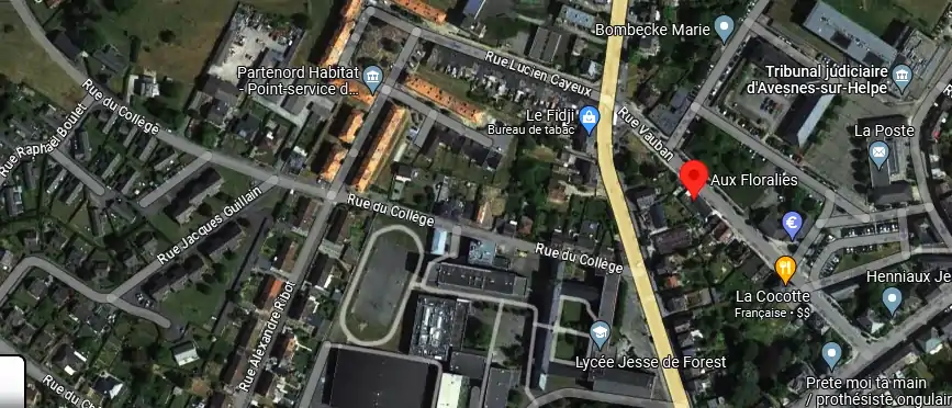 Livraison fleurs à Avesnes-sur-Helpe