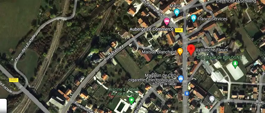 Livraison fleurs à Bologne