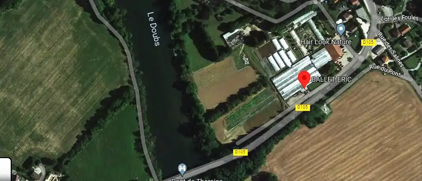 Livraison fleurs à Montferrand-le-Château