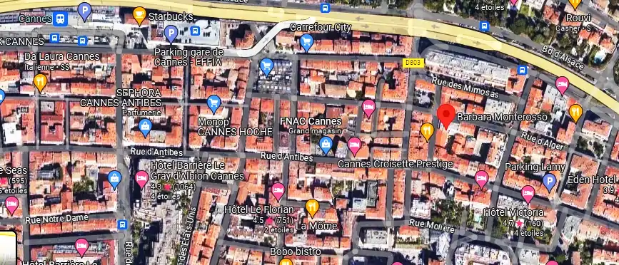 Livraison fleurs à Cannes
