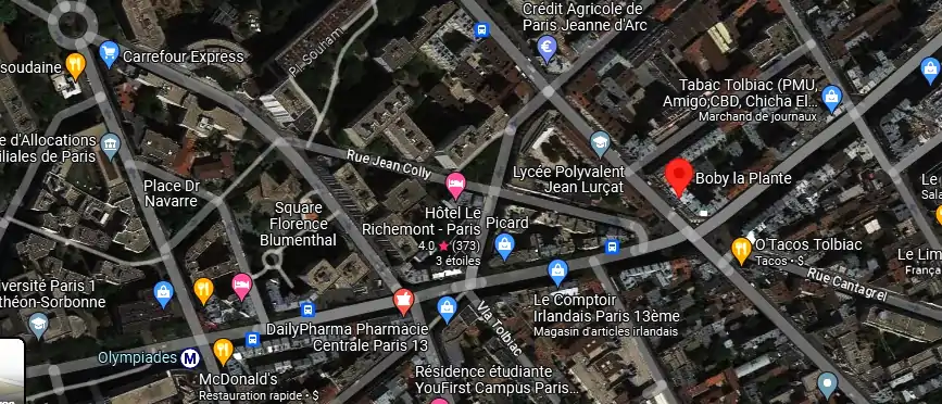 Livraison fleurs à Paris