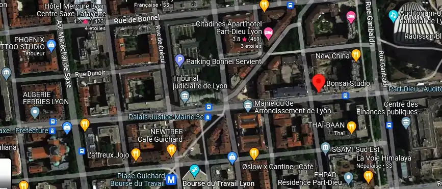 Livraison fleurs à Lyon