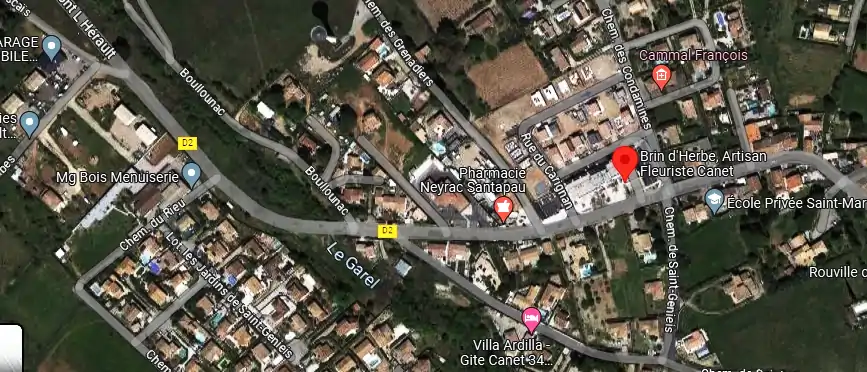 Livraison fleurs à Canet