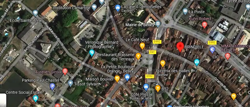 Livraison fleurs à Belley