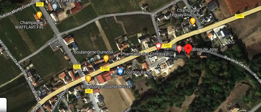 Livraison fleurs à Pargny-lès-Reims