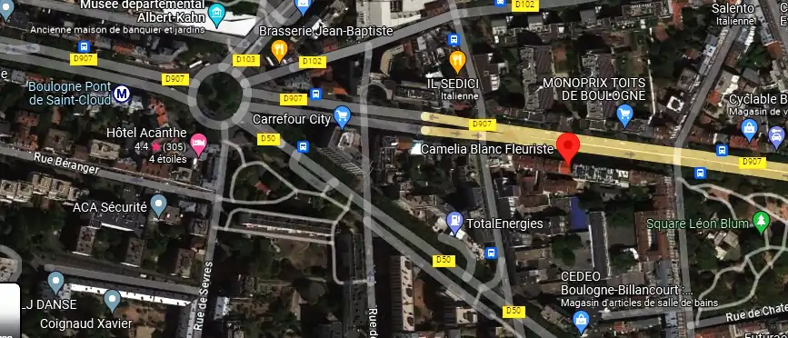 Camelia Blanc Fleuriste SARL à Boulogne-Billancourt