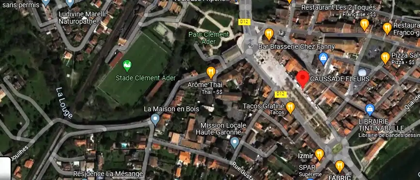Livraison fleurs à Muret
