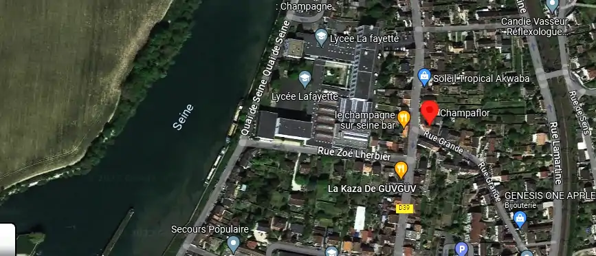 Livraison fleurs à Champagne-sur-Seine
