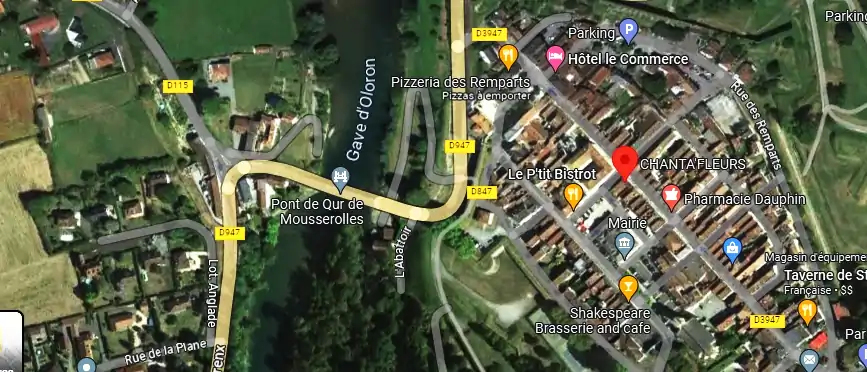 Livraison fleurs à Navarrenx