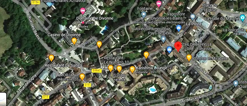 Livraison fleurs à Divonne-les-Bains