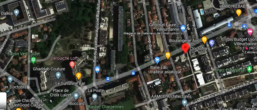 Livraison fleurs à Villeurbanne