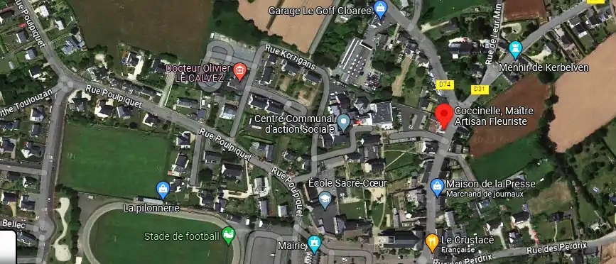 Livraison fleurs à Penvénan