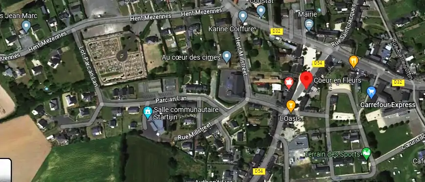 Livraison fleurs à Pommerit-le-Vicomte