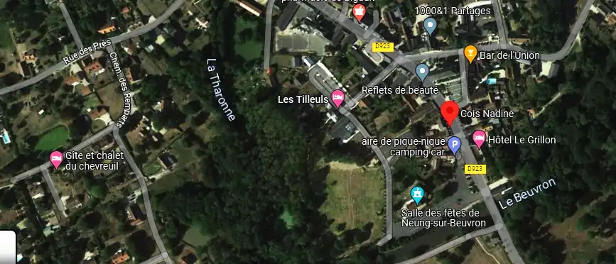 Livraison fleurs à Neung-sur-Beuvron