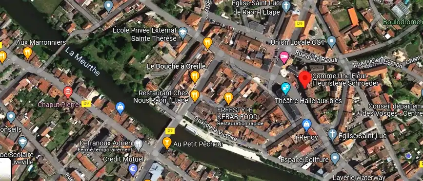 Livraison fleurs à Raon-l'Étape