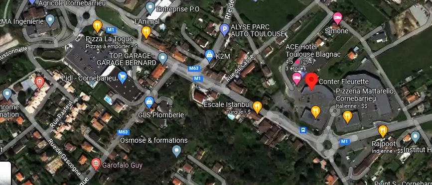 Conter Fleurette à Cornebarrieu
