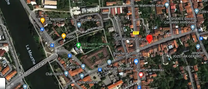 Livraison fleurs à Malzéville