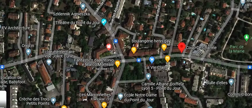 Livraison fleurs à Lyon