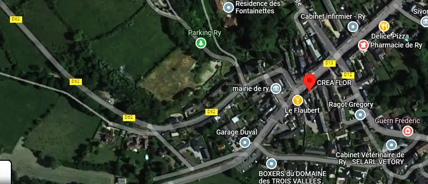 Livraison fleurs à Ry