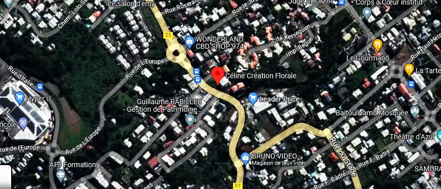 Livraison fleurs à 352 Rue Hubert Delisle, Le Tampon 97430, La Réunion