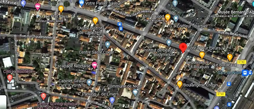Livraison fleurs à Niort