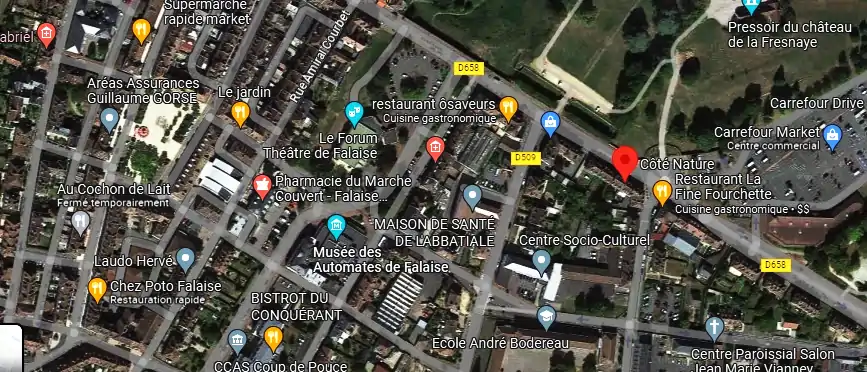 Livraison fleurs à Falaise