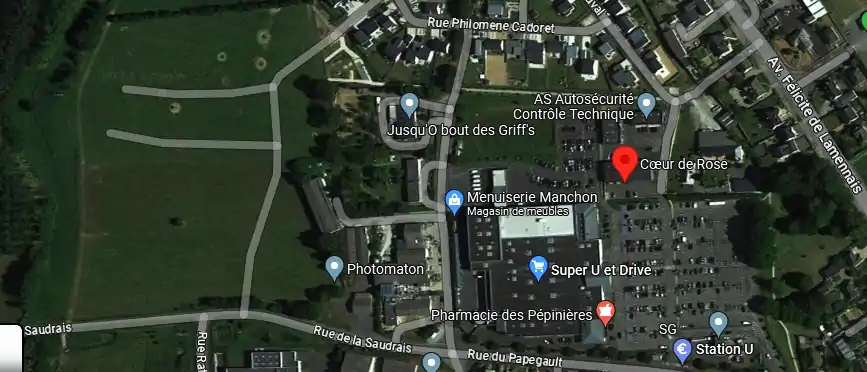 Livraison fleurs à Tinténiac