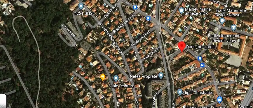 Dans mon jardin à Toulon