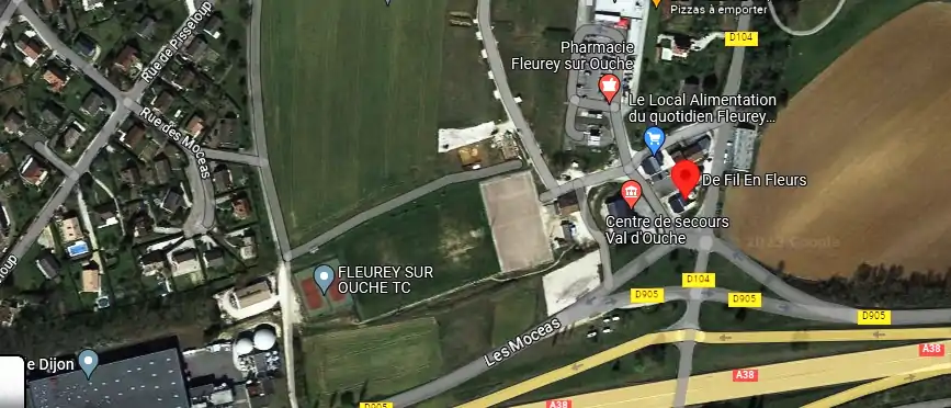 Livraison fleurs à Fleurey-sur-Ouche