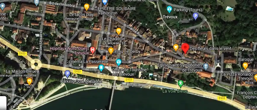 Livraison fleurs à Trévoux