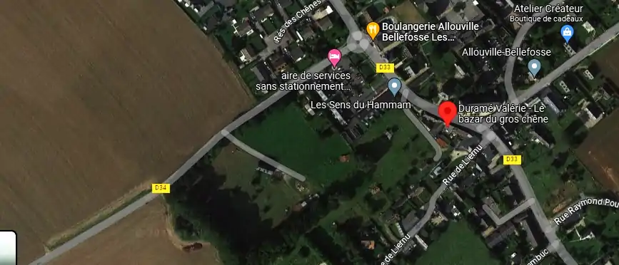 Livraison fleurs à Allouville-Bellefosse