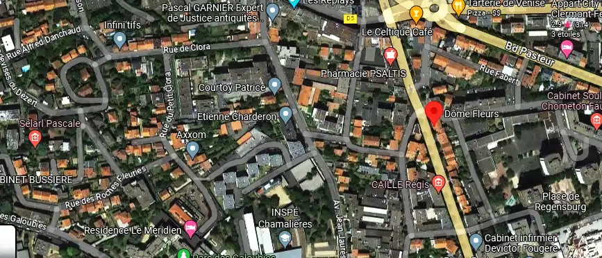 Livraison fleurs à Clermont-Ferrand