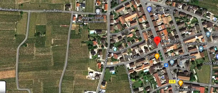 Livraison fleurs à Bennwihr