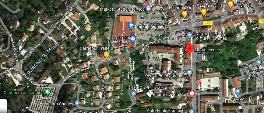 Livraison fleurs à Lagnieu