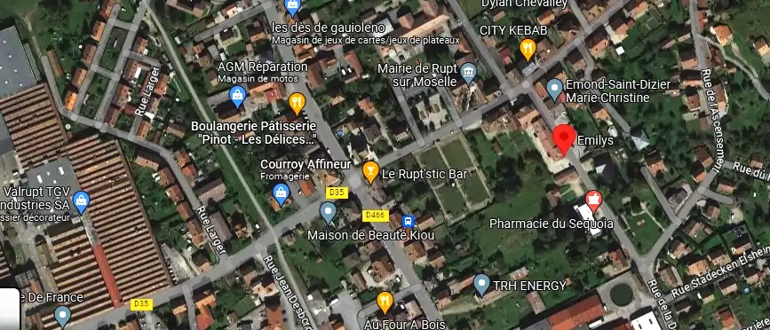 Livraison fleurs à Rupt-sur-Moselle