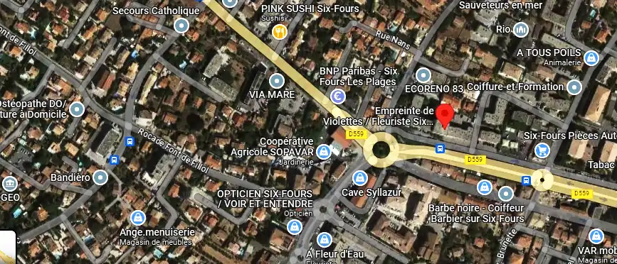 Livraison fleurs à Six-Fours-les-Plages