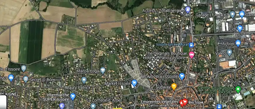 Empreintes Végétales à Issoire