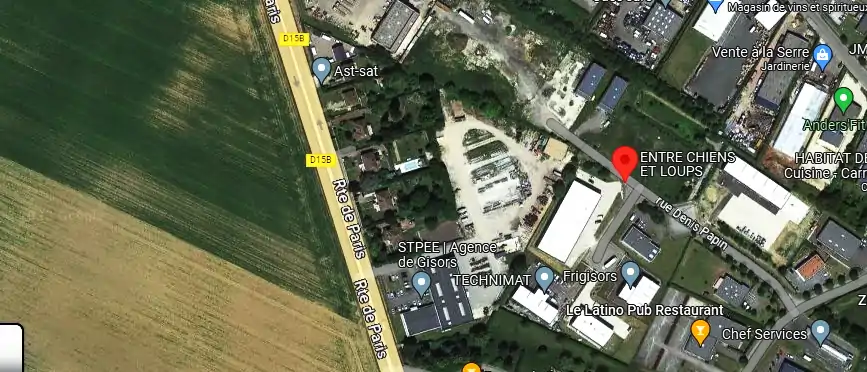 ENTRE CHIENS ET LOUPS à Gisors