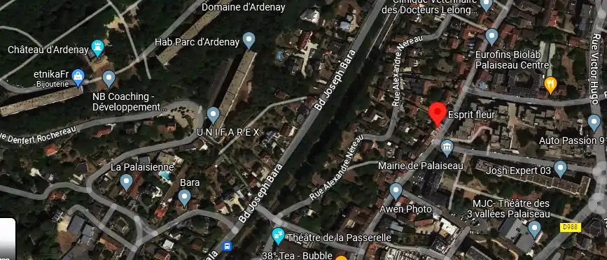Livraison fleurs à Palaiseau