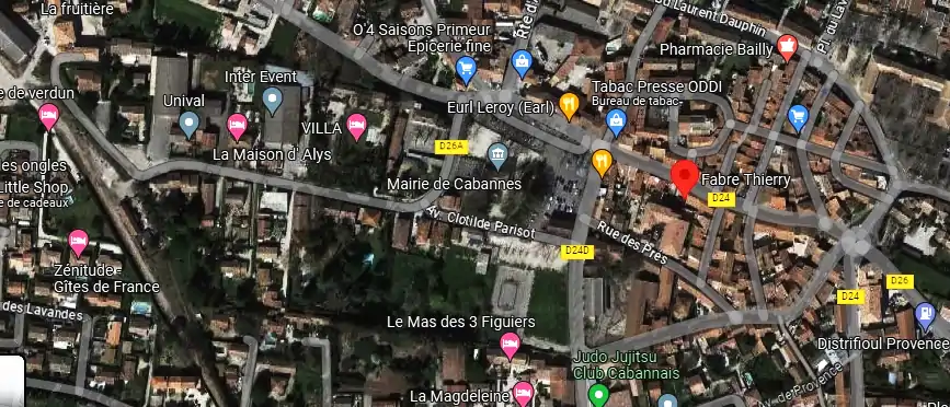Livraison fleurs à Cabannes