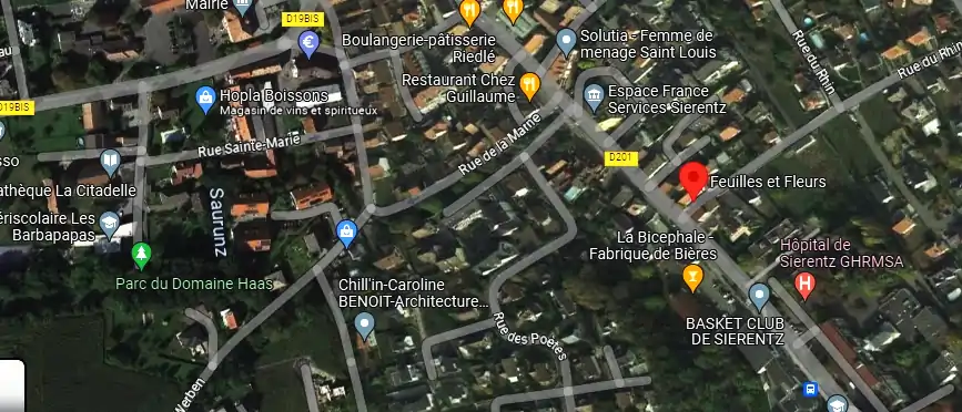 Livraison fleurs à Sierentz