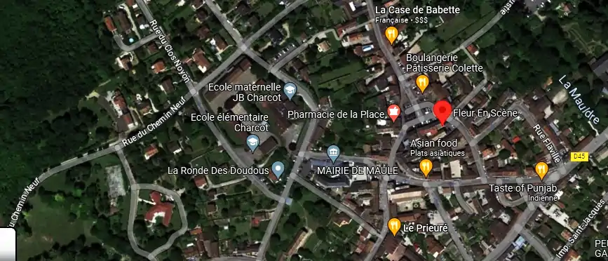 Livraison fleurs à Maule