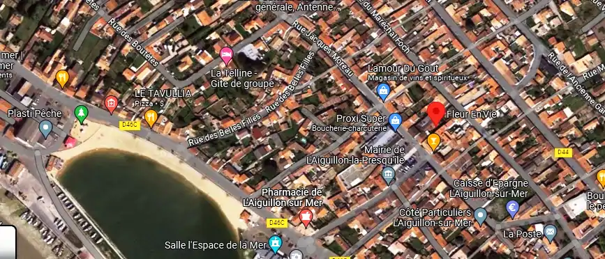 Livraison fleurs à L'Aiguillon-sur-Mer