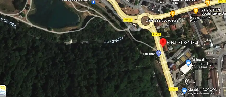 Livraison fleurs à Ugine