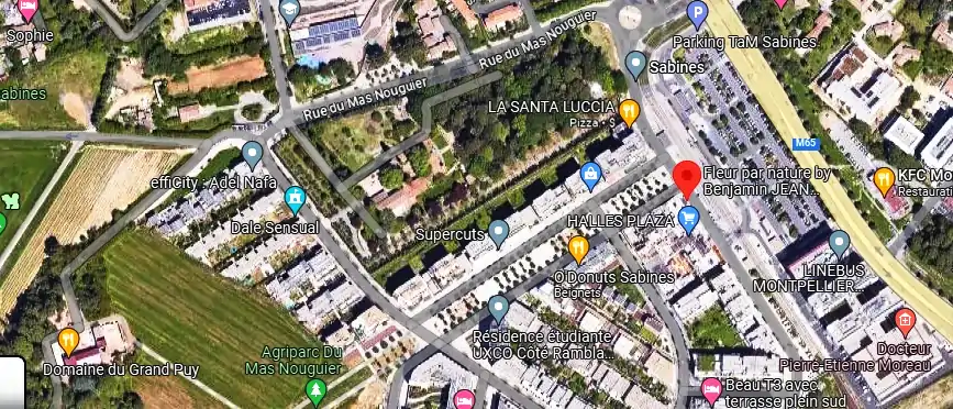 Livraison fleurs à Montpellier