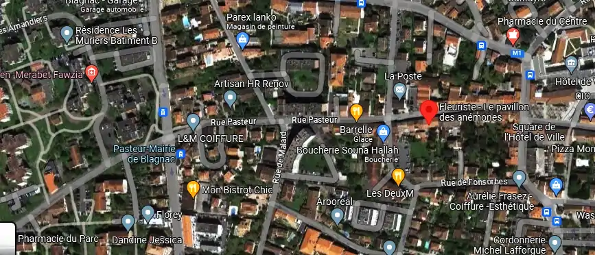 Fleuriste – Le pavillon des anémones à Blagnac