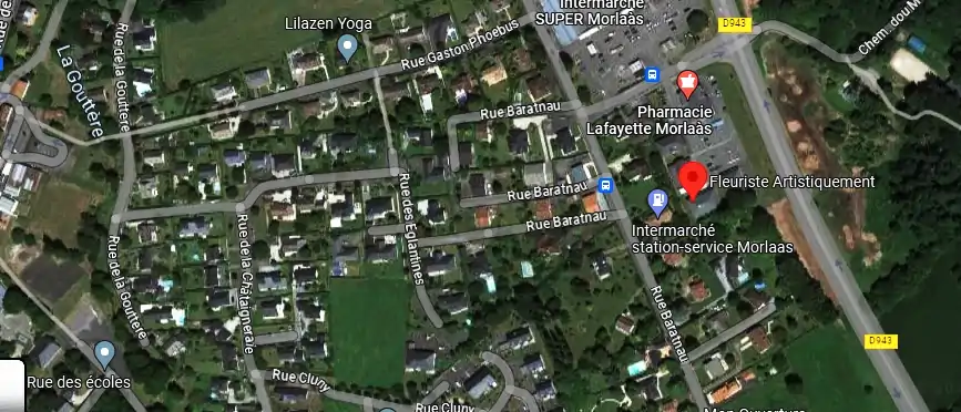 Livraison fleurs à Morlaas