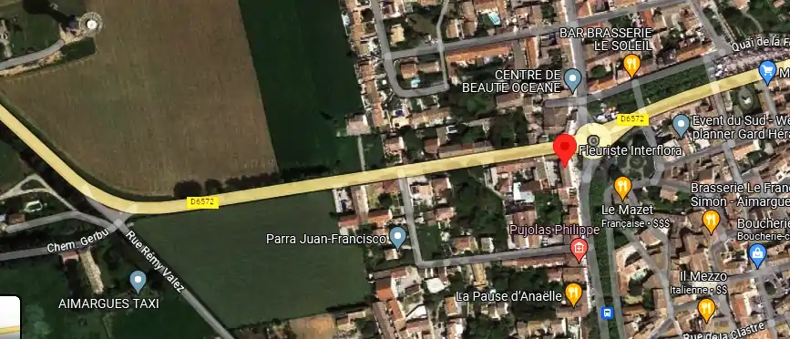 Livraison fleurs à Aimargues