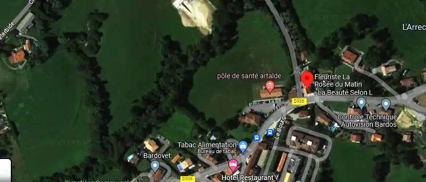 Livraison fleurs à Bardos