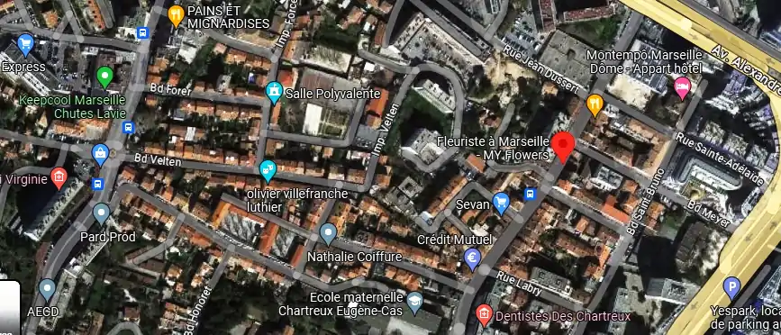 Livraison fleurs à Marseille